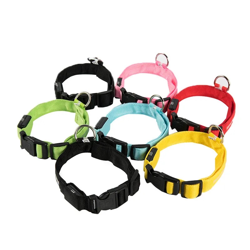 LED Dog Collar 1
