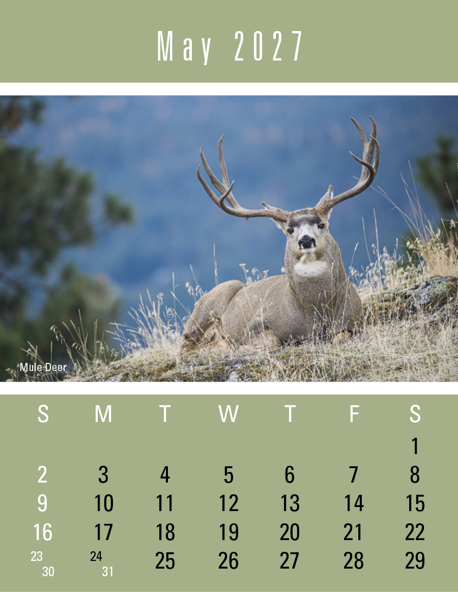 Triumph® Calendars Press-N-Stick Sportsmen Calendar 953