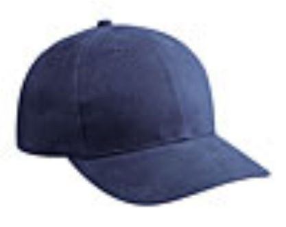 Embroidered Brushed Bull Denim Caps 11