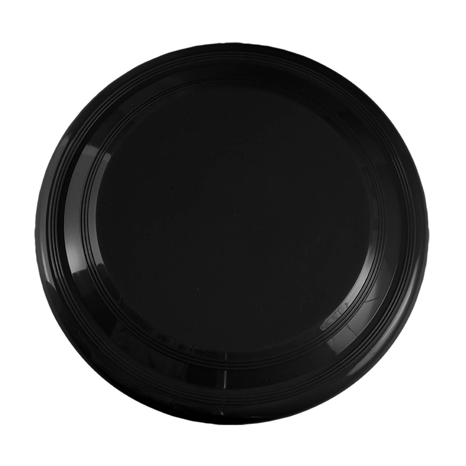 9 inch Flying Disc 7