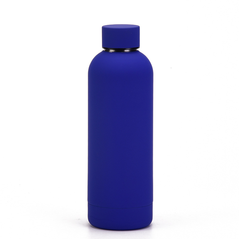 Stainless Steel Water Bottle 5