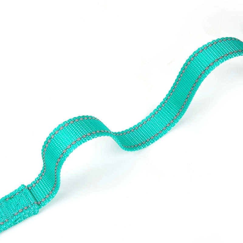 Customized Polyester Pet Leash 5