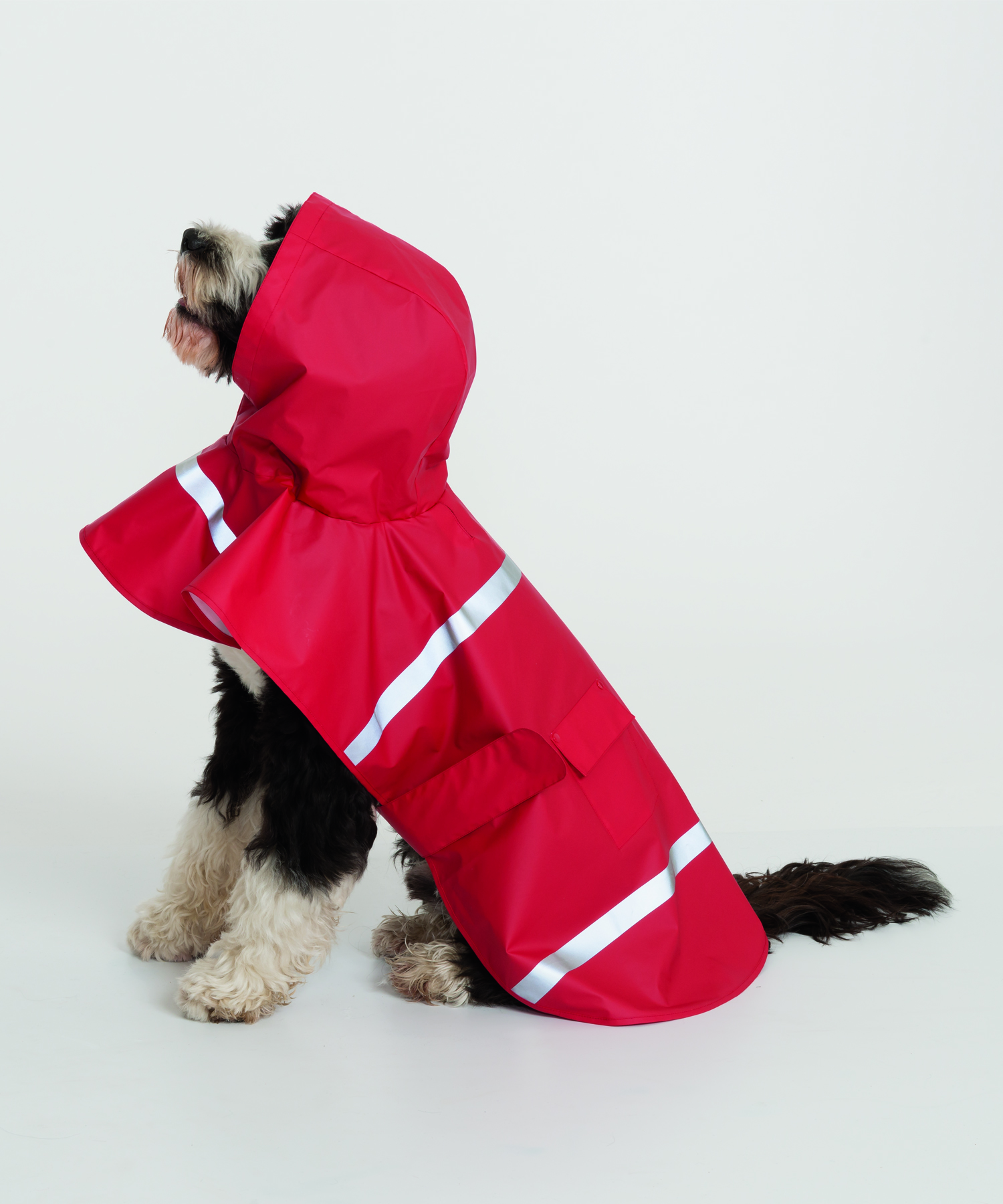 New Englander® Doggie Rain Jacket 10