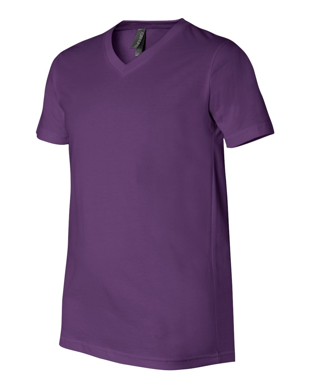 Unisex Jersey V-Neck Tee - 3005 26