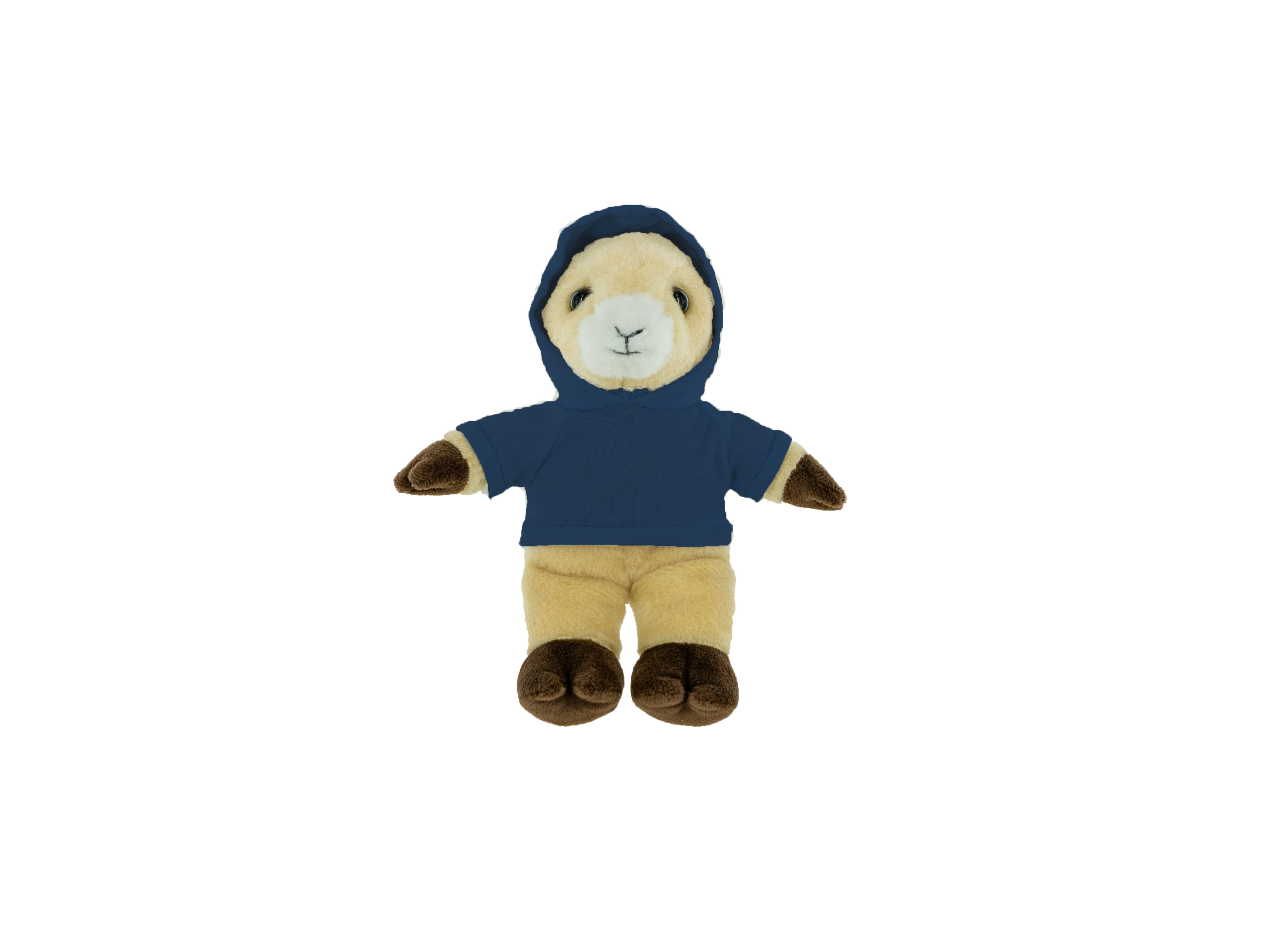 Plush Ram with Hoodie 7