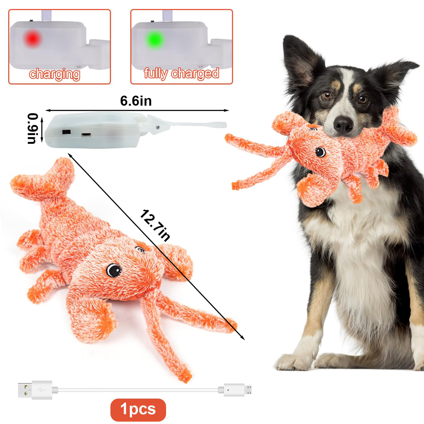 Interactive Dog Cat Toy 2