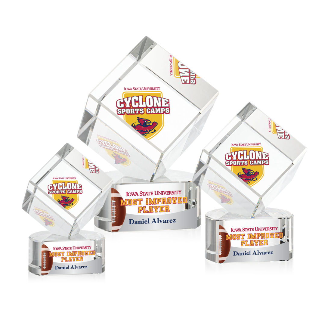 Burrill VividPrint™ Award on Paragon Base - Clear