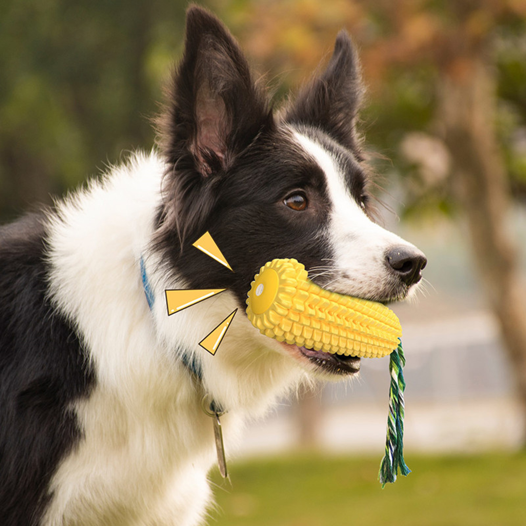 Dog Chew Corn Toy 4