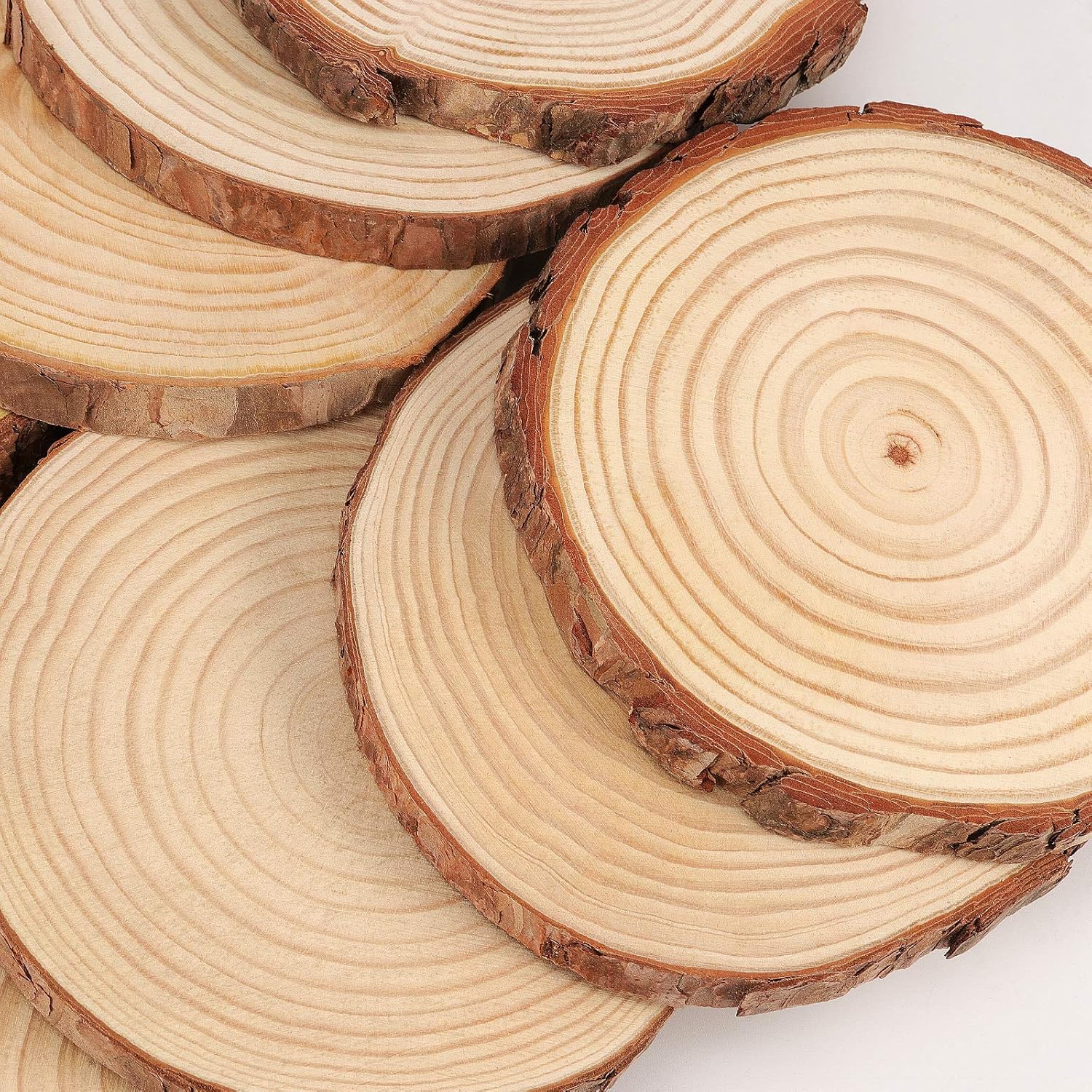 Wood Slice Token with Bark 8