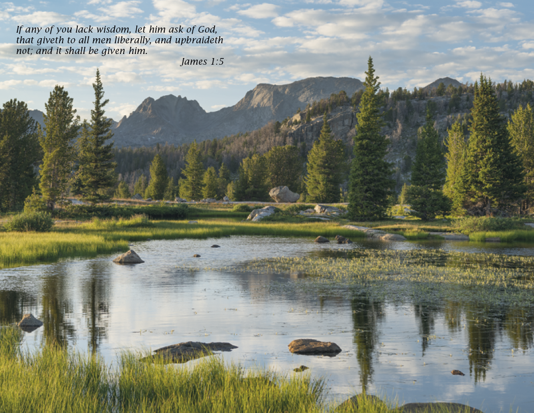 Triumph® Calendars Bible Passages Calendar 25