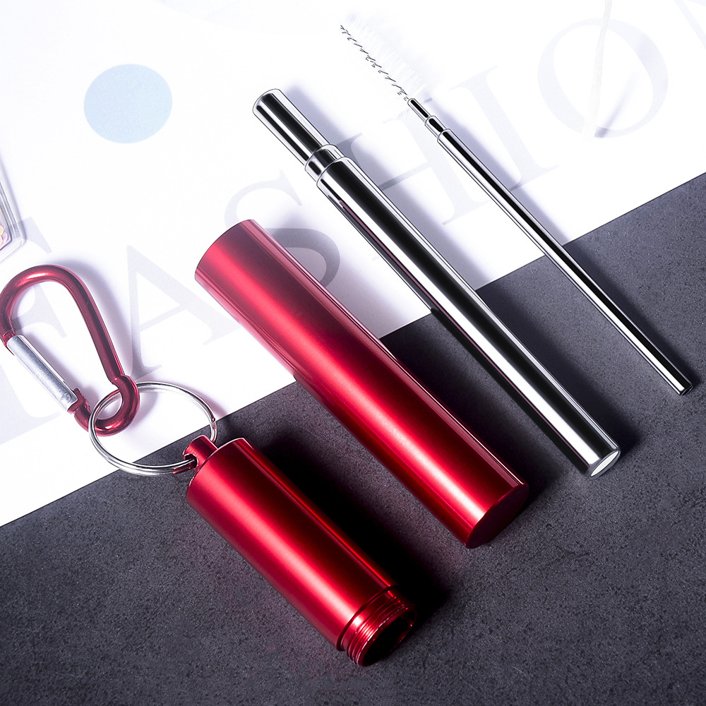 Reusable Stainless Steel Straw 5