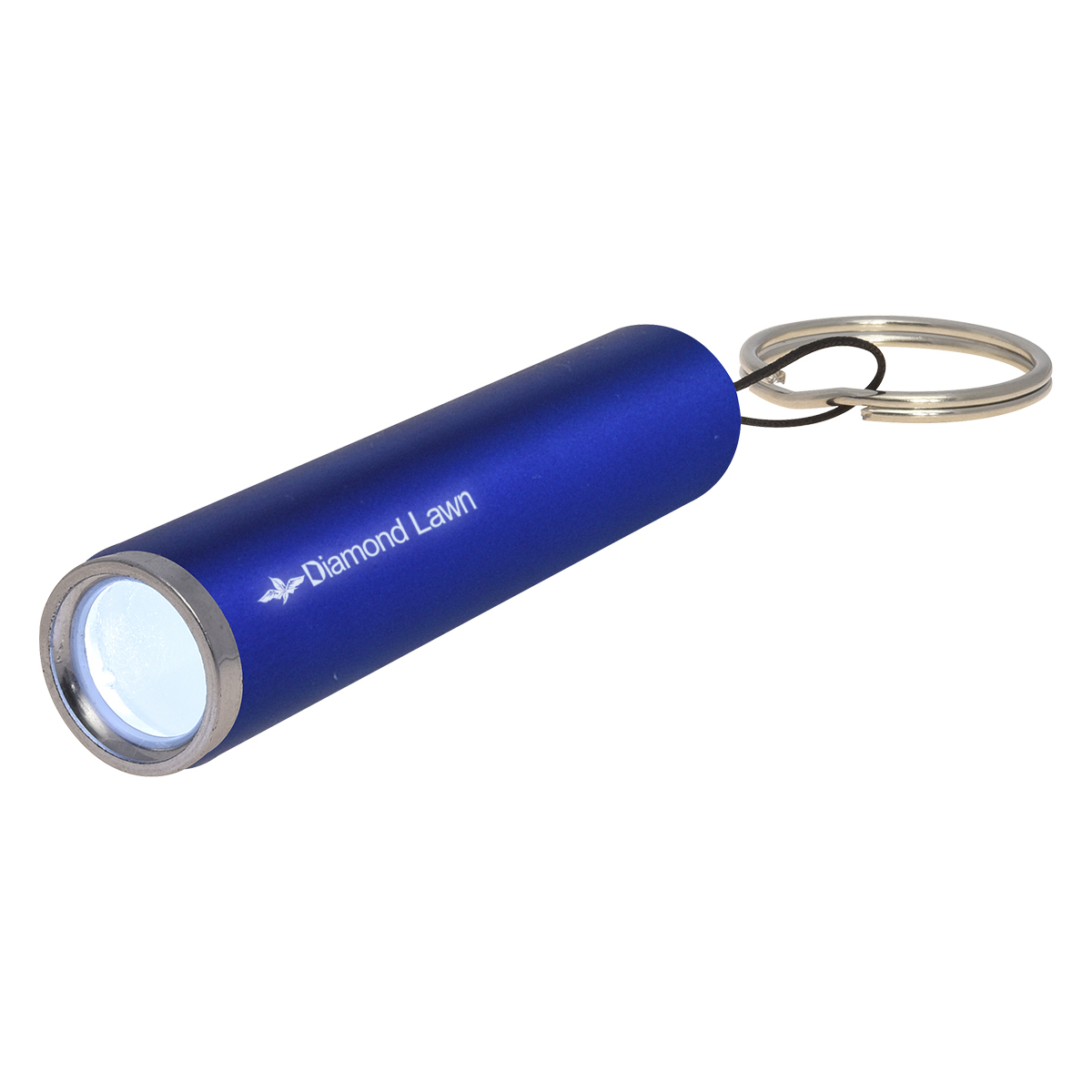Ray Light Up LED Flashlight 3