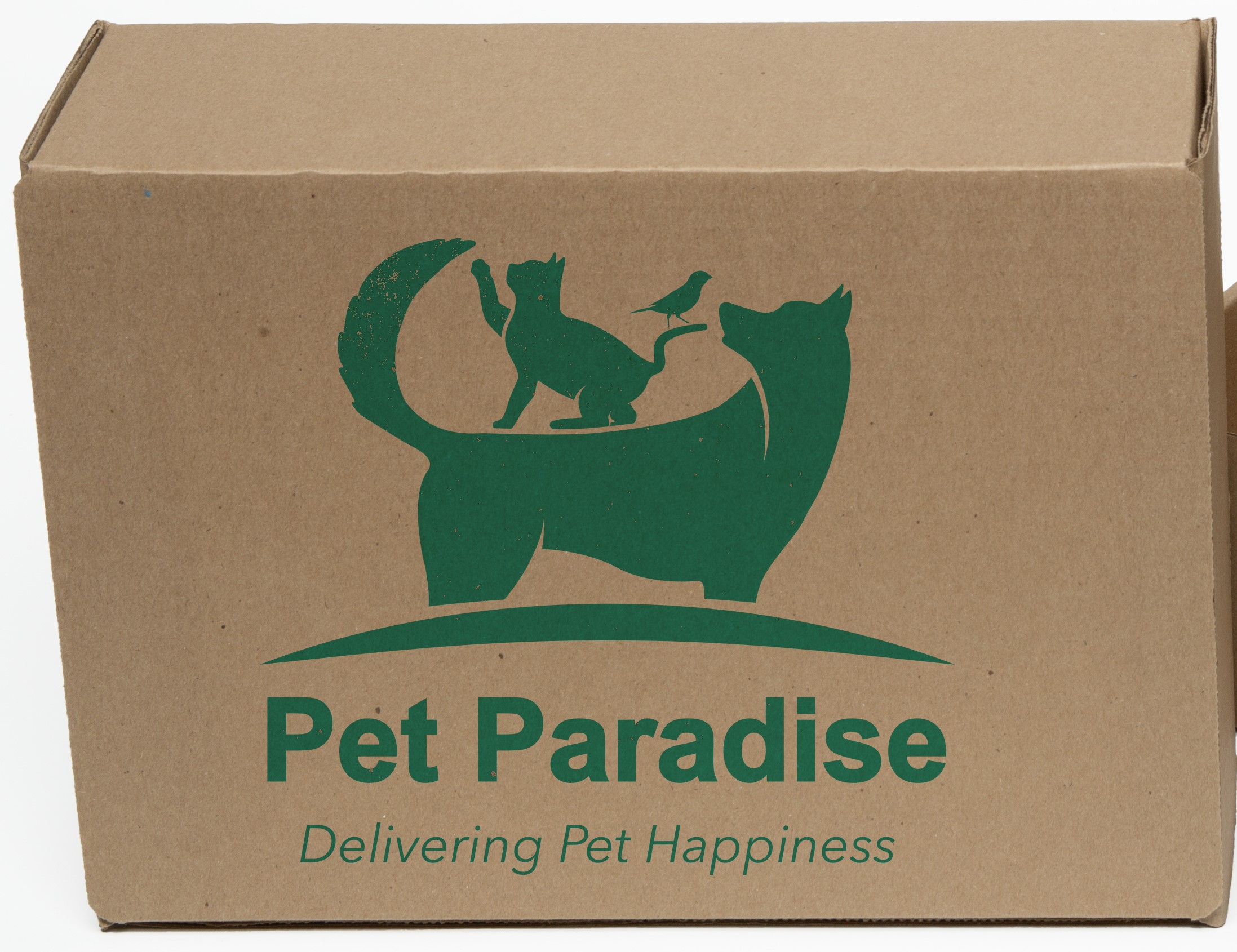 One Color Natural Display Mailer Box w/Outside Imprint (12" x 9" x 4")