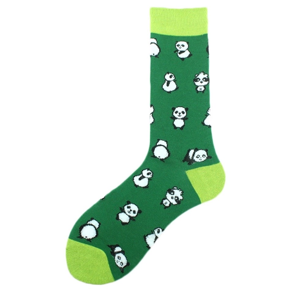 Fun Colorful Socks 4