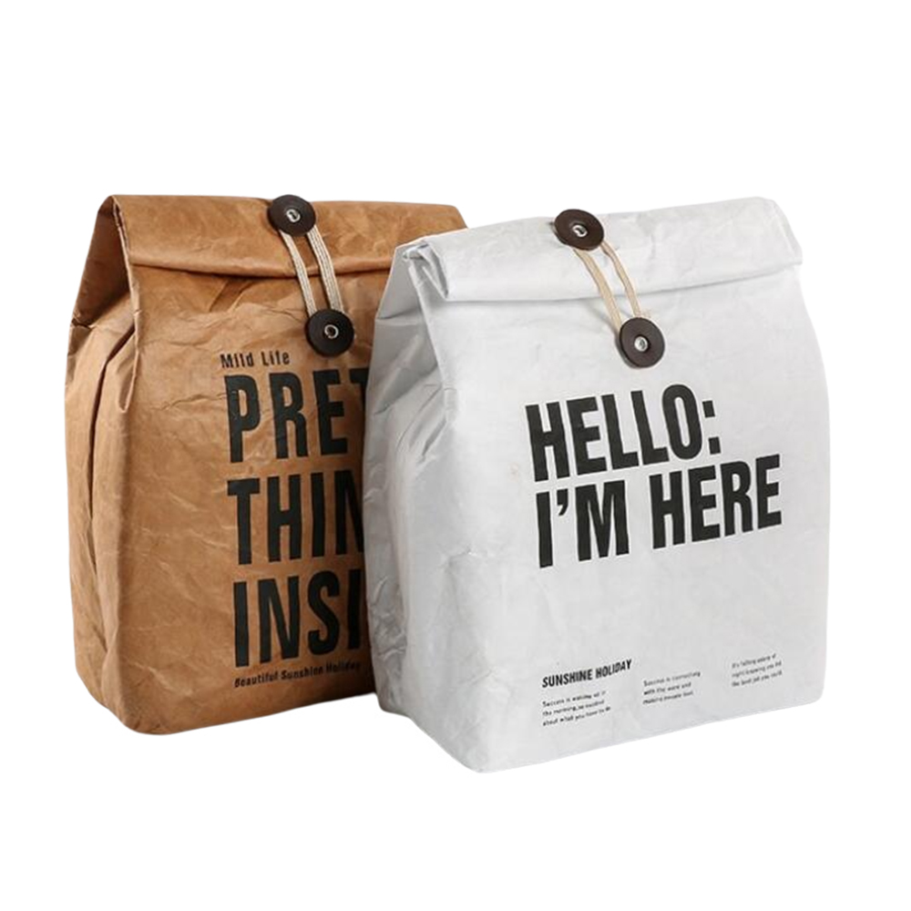 Reusable Freezable Brown Paper Lunch bag 2