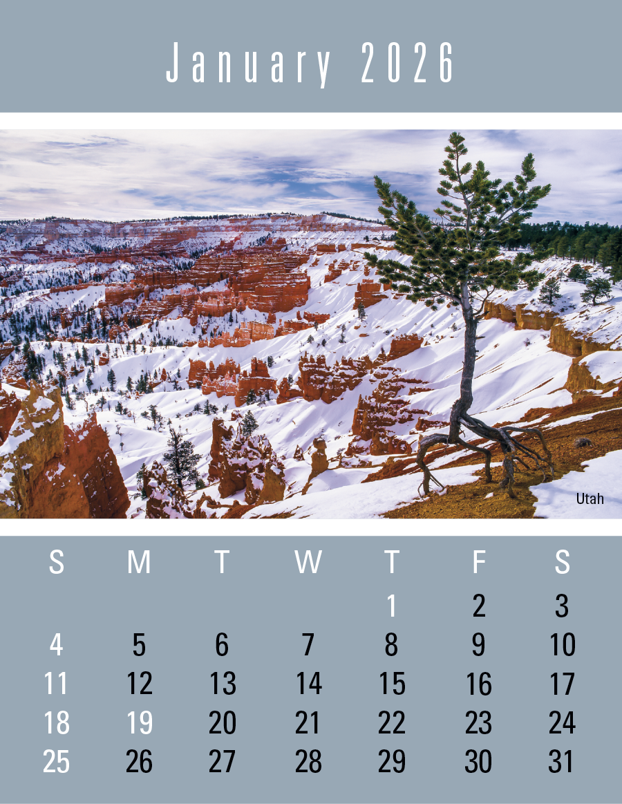Triumph® Calendars Press-N-Stick Scenic Calendar