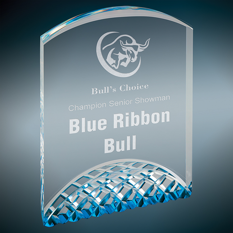 Horizon Acrylic Award 1