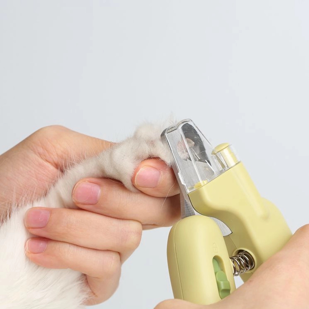 Custom Useful Dogs Cats LED Light Bloodline Pet Nail Clipper 2