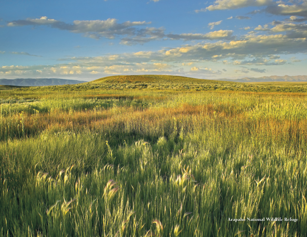 HotLine® Products Colorado Collection 7
