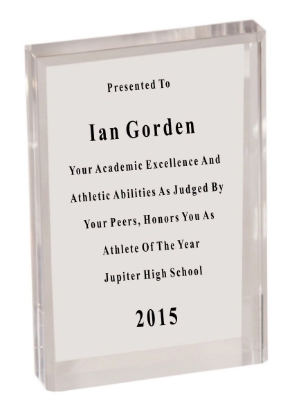 Freestanding Rectangle Bevel Acrylic Award 2