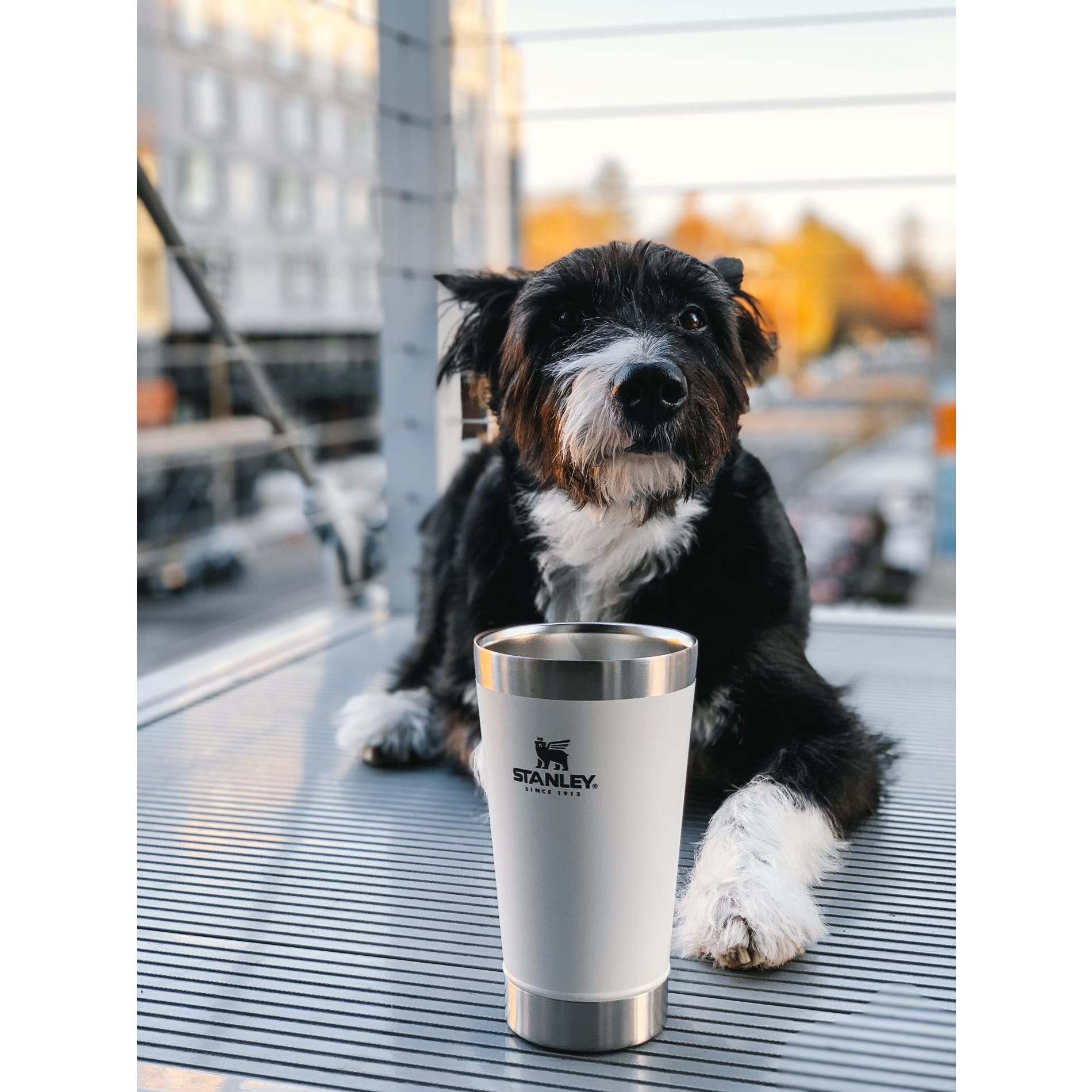 Stay-Chill Stacking Pint 16oz