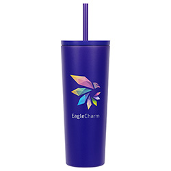 Bradford 24 oz Vacuum Insulated Stainless Steel Tumbler with Straw 56