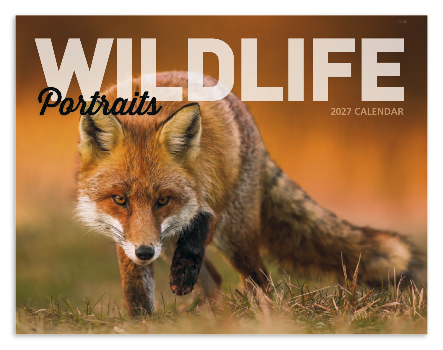 Good Value™ Wildlife Portraits - Window Calendar 29