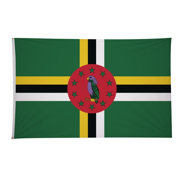 5' x 8' International Flags 6