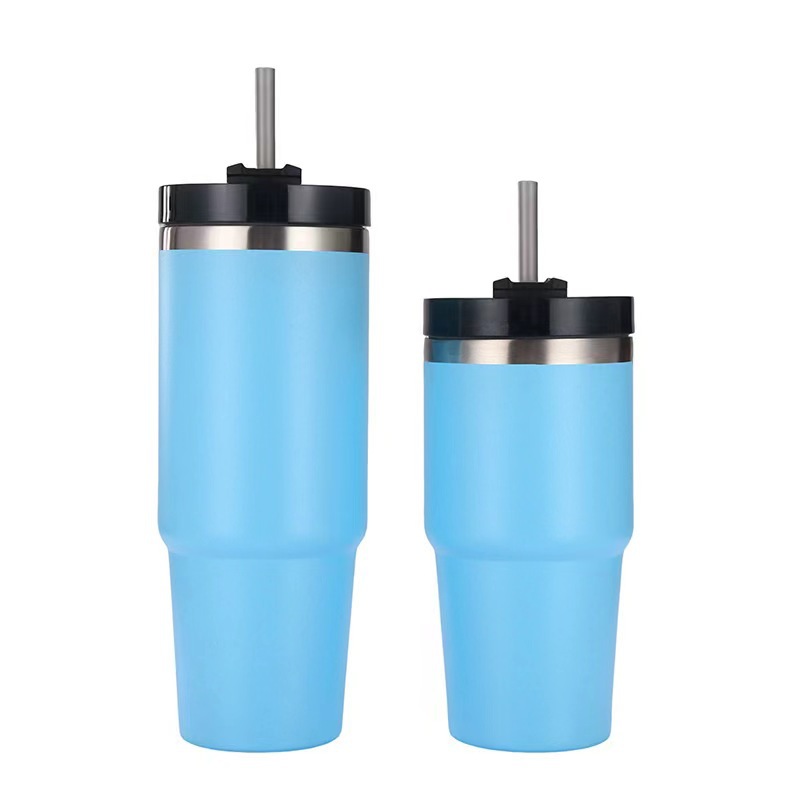 Double-walled Insulated Straw Cups 1