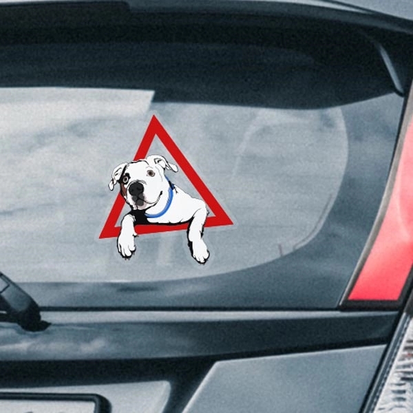 5" Custom Shape Front Adhesive Sticker 3