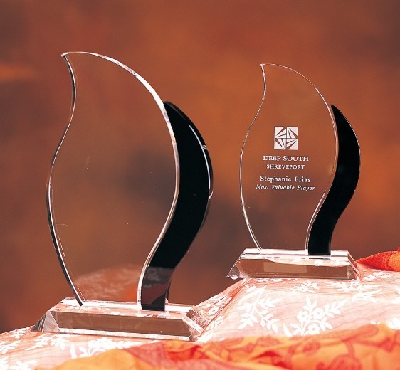Designer Crystal Artisan (Black) Award 1