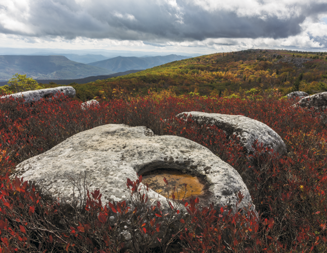 HotLine® Products Contemplations Appointment Calendar - Spiral 3