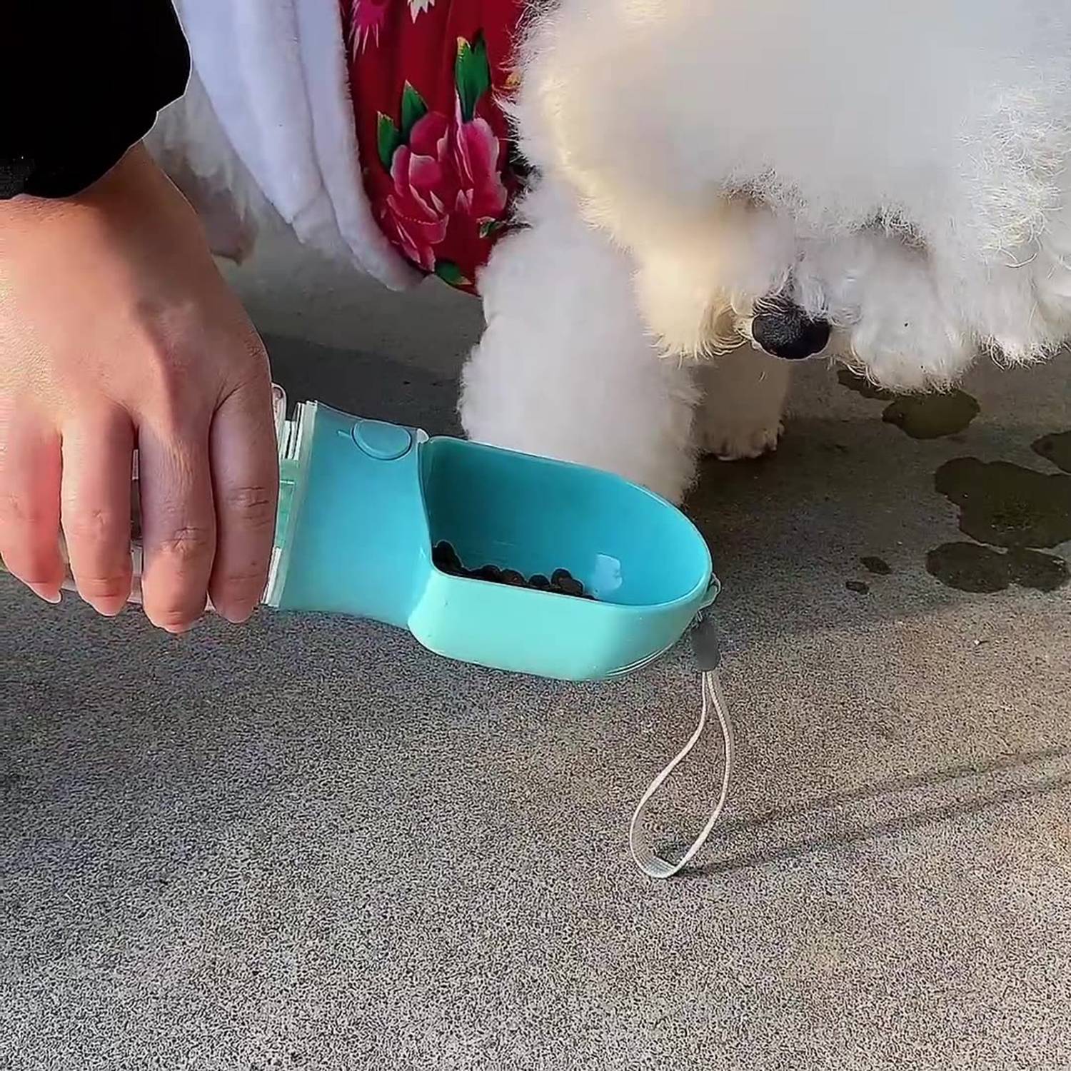 17oz 2-in-1 Plastic Foldbale Pet Care Cup W/ Feeding 5