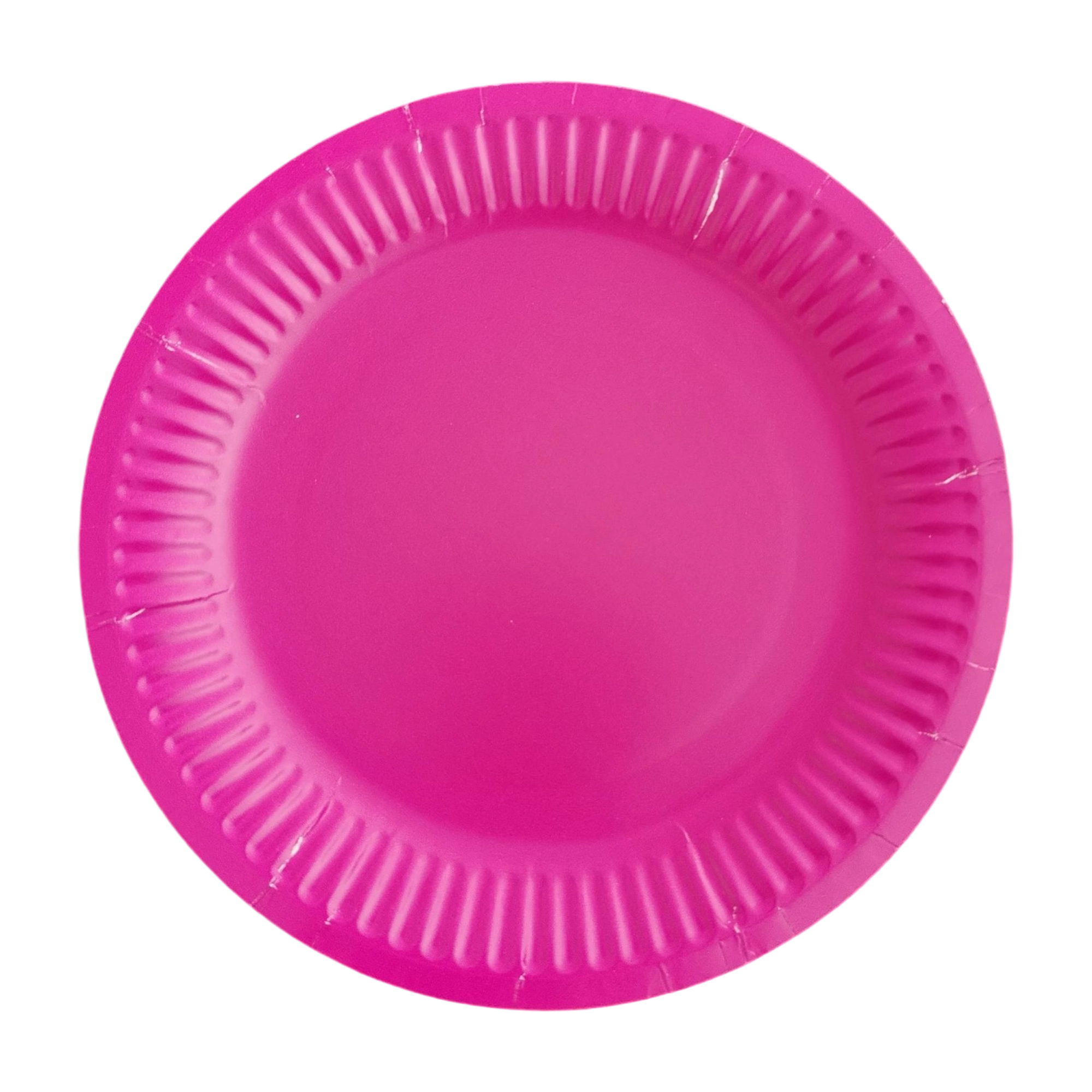 Nine Inch Party Paper Plate Food Safe Disposable 9