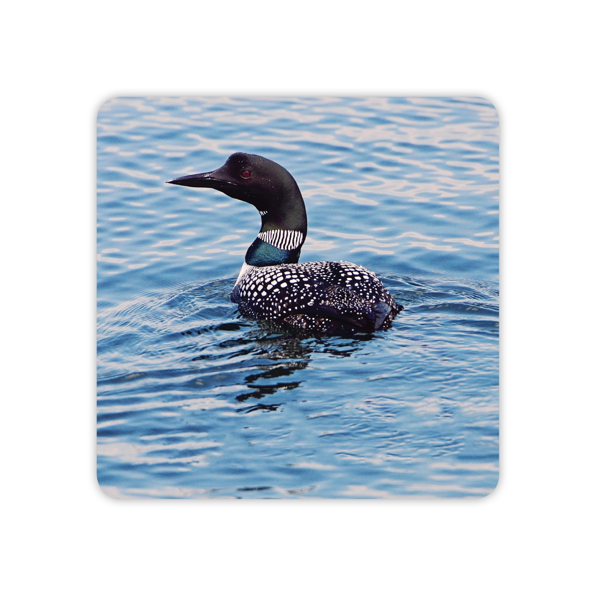 Custom Full Color Square Round Paper Coaster MOQ500 3.5in 1