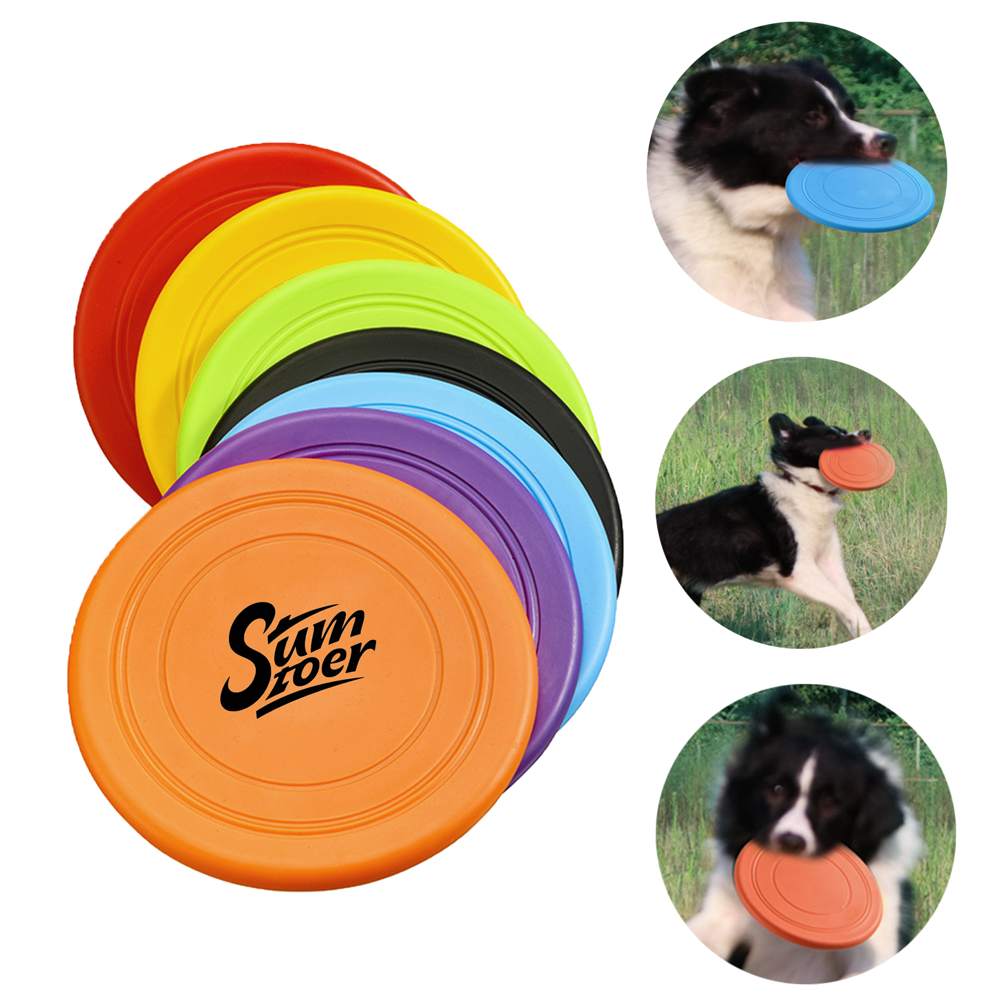 TPR Pet Flying Disc 4