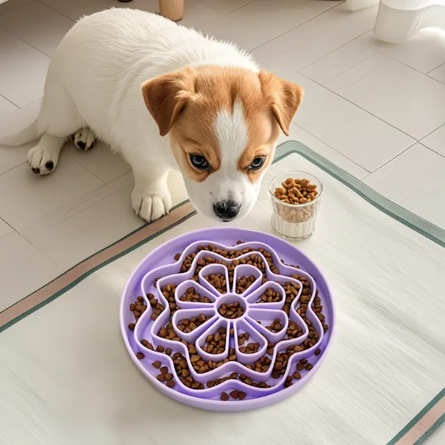 Pet Slow Feeding Food Bowl 5
