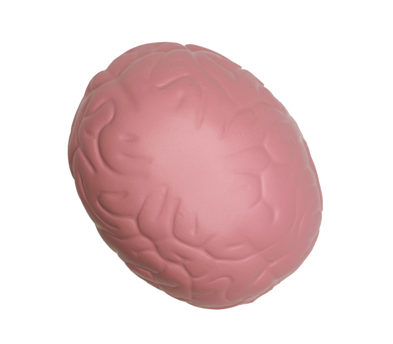 Brain Shaped Stress Reliever Ball 1