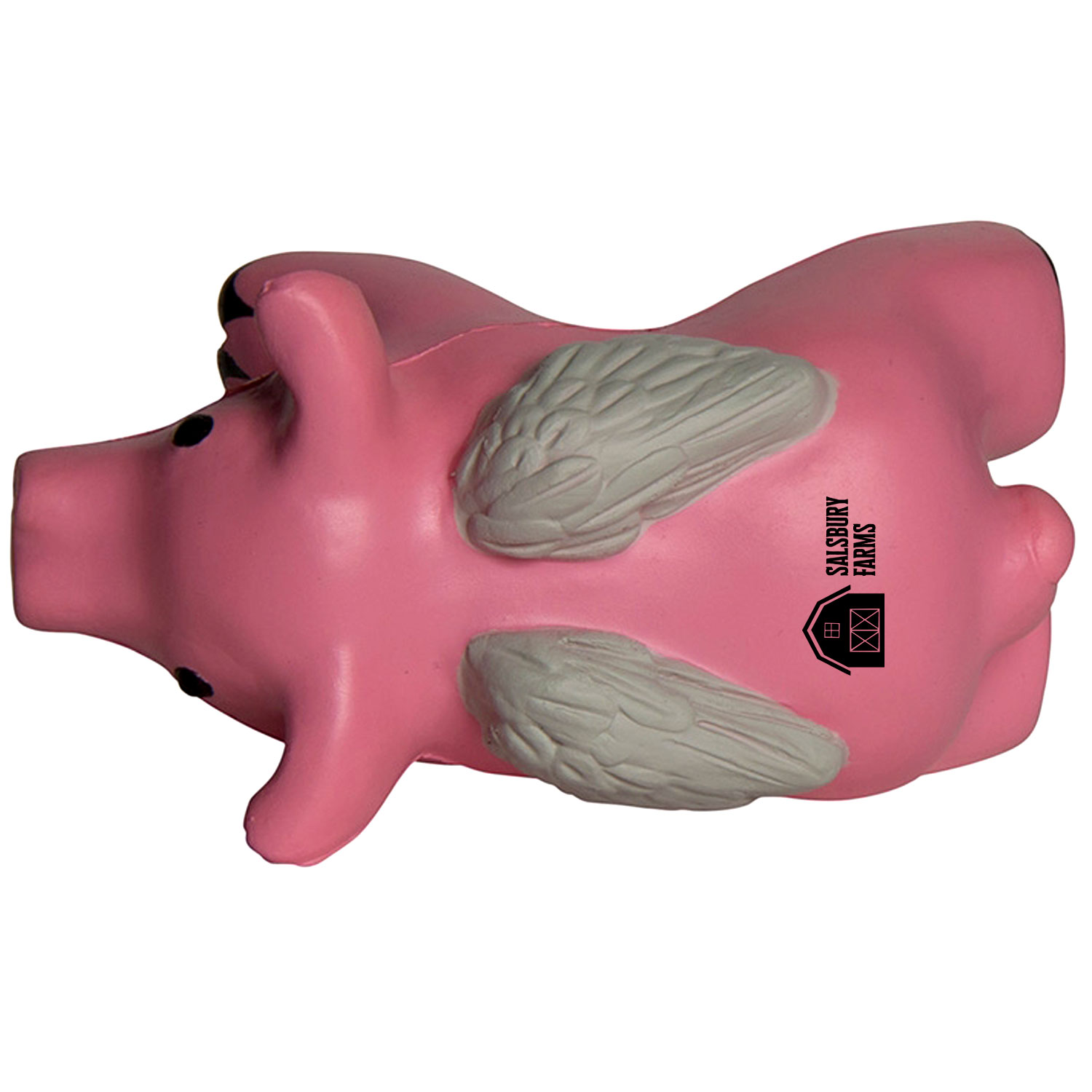 Pig w/Wings Stress Reliever 4