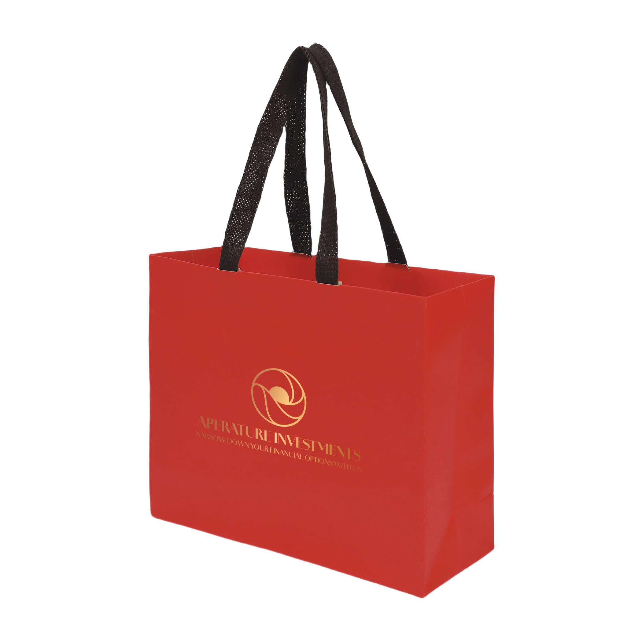 Sugarcane Paper Bag with Embedded Web Style Paper Handles - 7