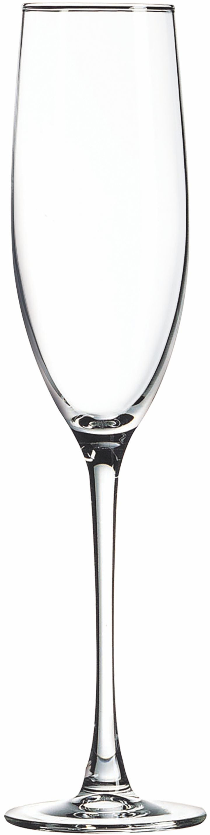 Polar Camel 8 oz Champagne Flute