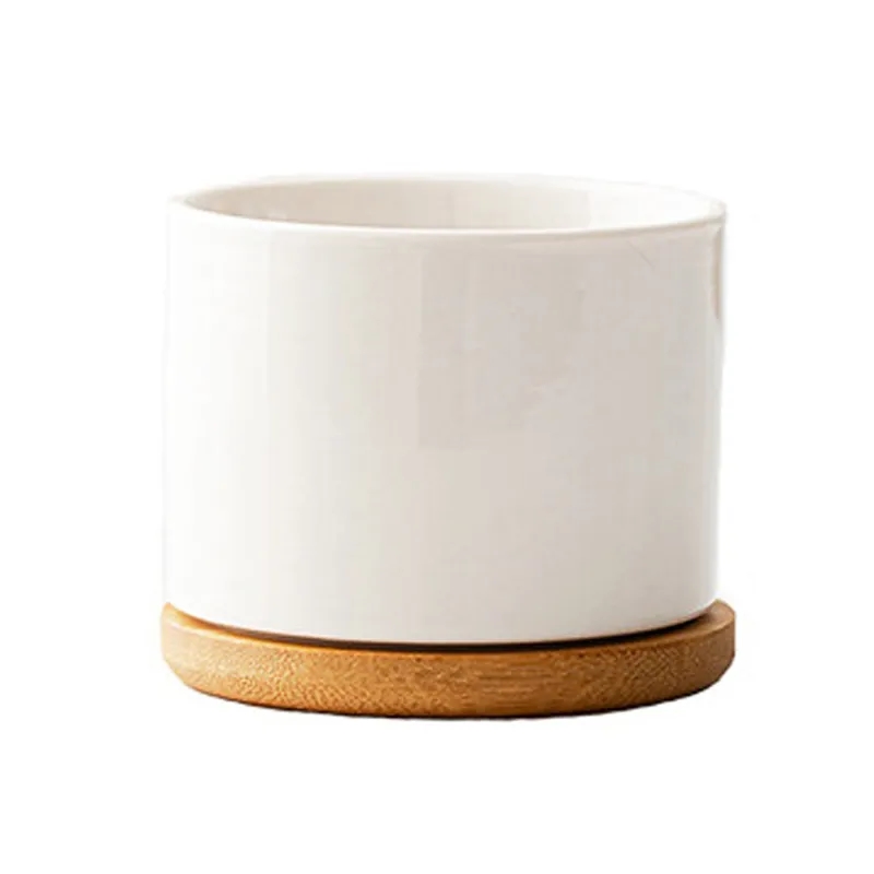 Ceramic Plant Pots 2