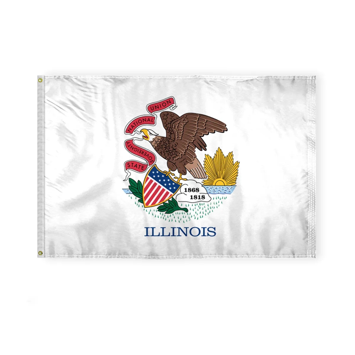 12"x18" to  8'x12'  Illinois Nylon Flags 7