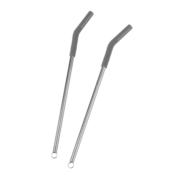Reusable Stainless Steel Two Straw Set 28