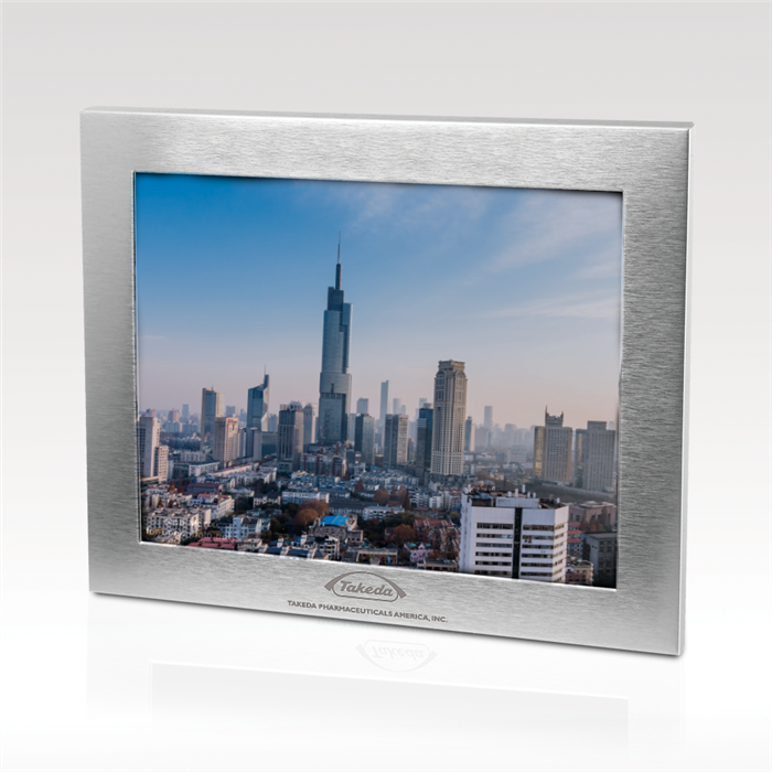 Silver Acclaim Frame 4