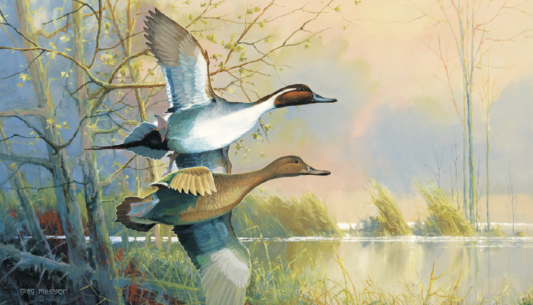 Triumph® Calendars North American Waterfowl Calendar 28