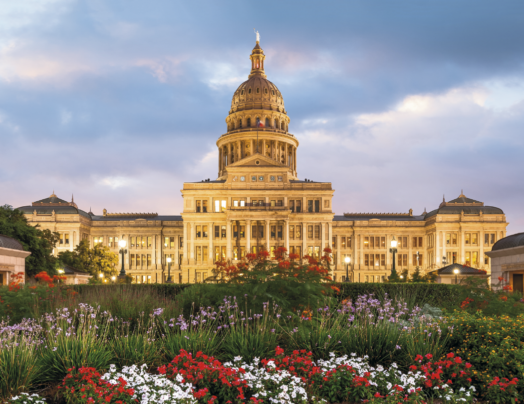 HotLine® Products Texas Appointment Calendar - Spiral 11