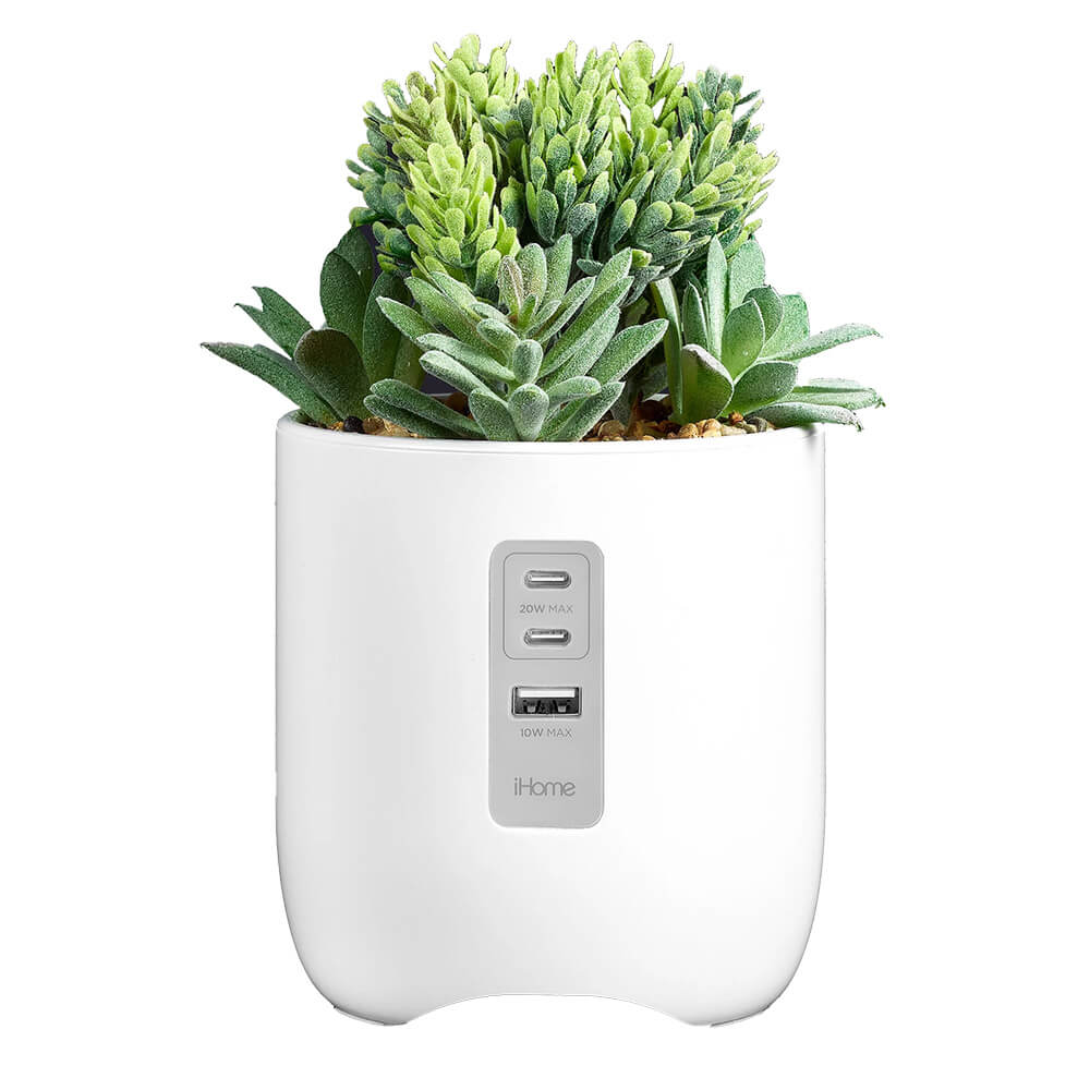Faux Succulent with USB Charging Station