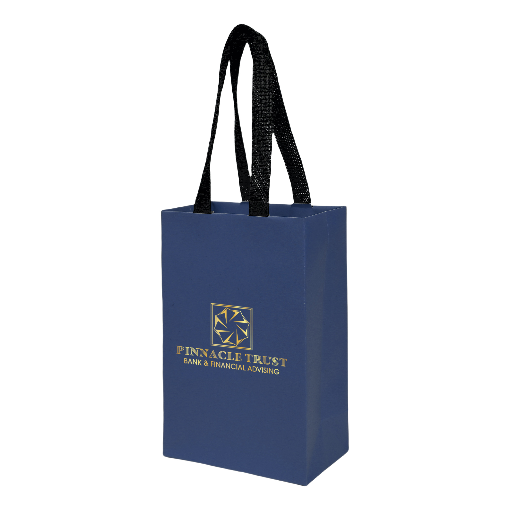 Sugarcane Paper Bag with Embedded Web Style Paper Handles - 9