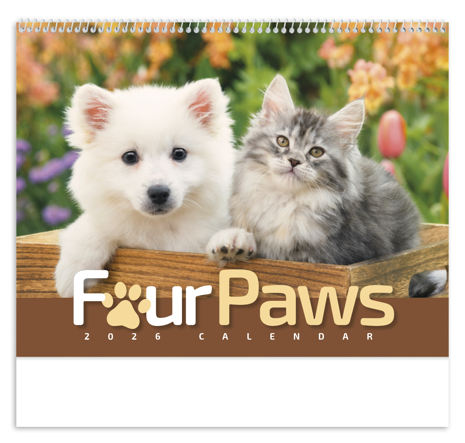 HotLine® Products Four Paws Appointment Calendar - Spiral 37